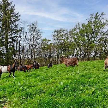 1 Bed In Easton 56742 * Kirklinton