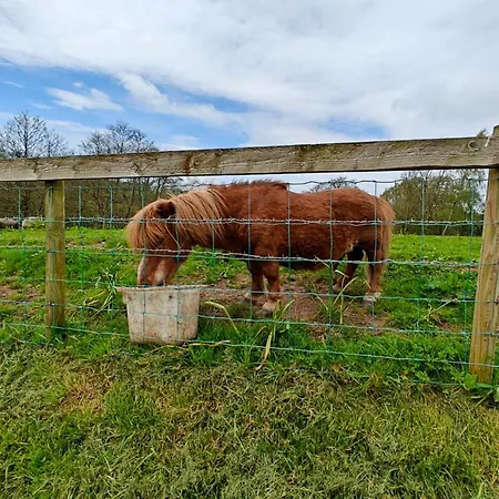 Casa vacanze 1 Bed In Easton 56742