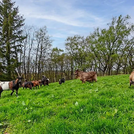 1 Bed In Carlisle Oc-56742