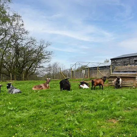 1 Bed In Carlisle Oc-56742 Σπίτι διακοπών *