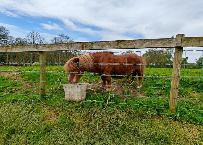 1 Bed In Carlisle Oc-56742 Σπίτι διακοπών