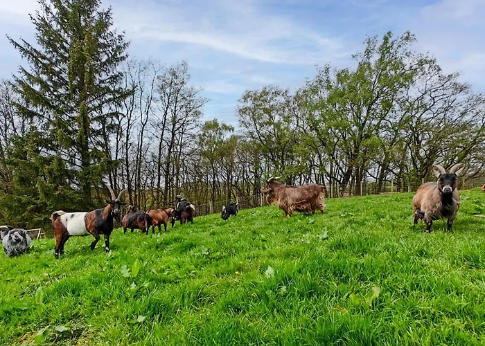 1 Bed In Carlisle Oc-56742