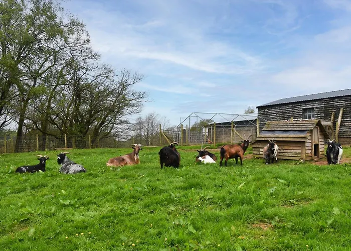 1 Bed In Carlisle Oc-56742 Semesterbostad *